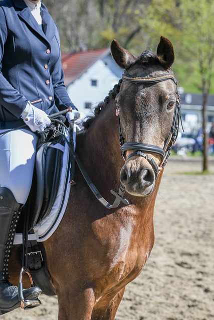 练徐正源的 练徐正源的