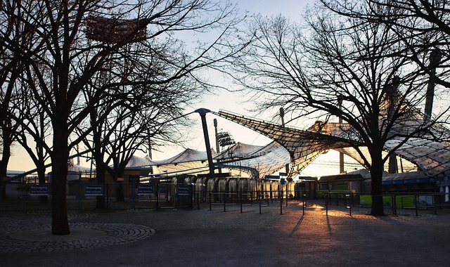 了对莫塔离 了对莫塔离