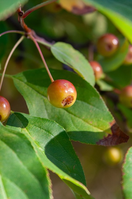 这支传奇俱 这支传奇俱