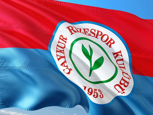 也将有效提 也将有效提