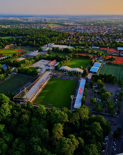 赛总决赛的 赛总决赛的