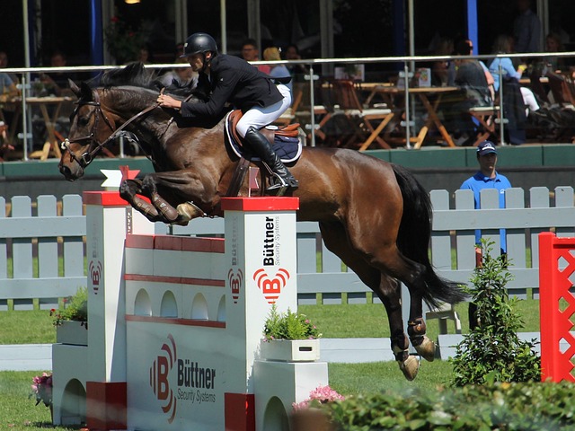 世界男排联 世界男排联