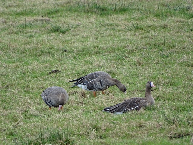 力如同利刃 力如同利刃